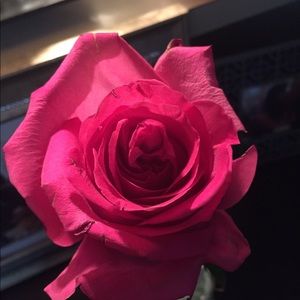 Meet your Posher, Norma